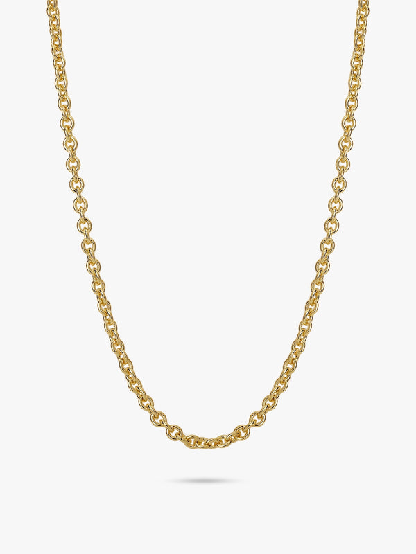 Daily Curb Chain Necklace - OOTDY